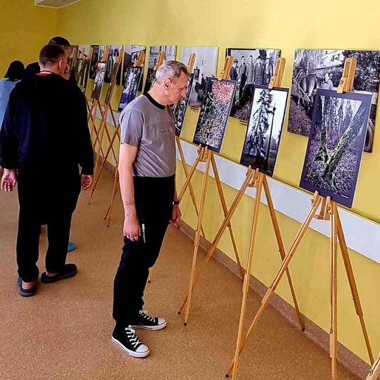 Iliustracija