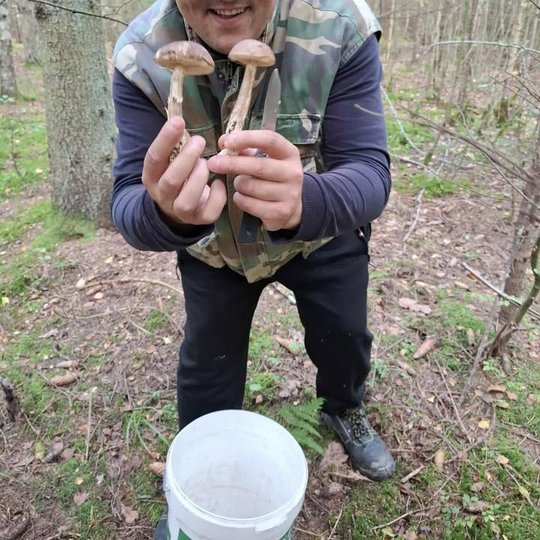 Iliustracija