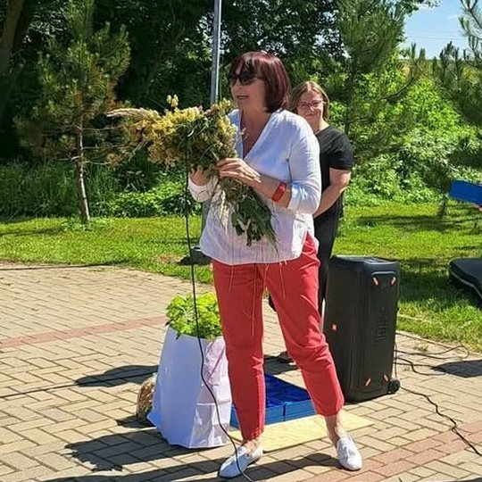 Iliustracija