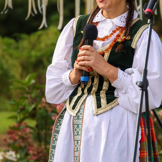 Iliustracija