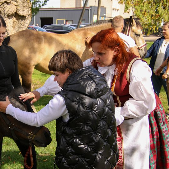 Iliustracija